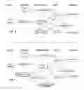Fig. 08 - Method and system for mobile bill presentment and payment messaging and marketing