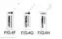 Fig. 12 - METHOD OF STANDARDIZATION OF INJECTALBE MEDICINES AND THEIR DILUENTS