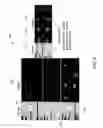 Fig. 07 - APPARATUS, SYSTEM AND METHODS FOR COMPARING DRUG SAFETY USING HOLISTIC ANALYSIS AND VISUALIZATION OF PHARMACOLOGICAL DATA