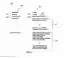 Fig. 09 - Using ontological information in open domain type coercion