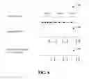 Fig. 07 - OPTIMIZED LAZY QUERY OPERATORS