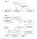 Fig. 06 - BROWSING HIERARCHIES WITH EDITORIAL RECOMMENDATIONS