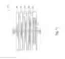 Fig. 12 - Biometric indexing and searching system