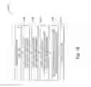 Fig. 16 - Biometric indexing and searching system