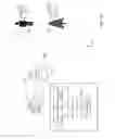 Fig. 20 - SYSTEMS AND METHODS FOR DEFINING OBJECTS OF INTEREST IN MULTIMEDIA CONTENT