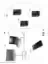 Fig. 02 - SELECTIVELY RECEIVING MEDIA CONTENT