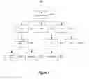 Fig. 03 - PROVING DOMAIN NAME OWNERSHIP