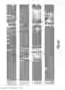 Fig. 07 - COMPOSITIONS AND METHODS FOR MODULATION OF PLANT CELL DIVISION