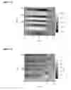 Fig. 09 - METHOD TO MEASURE 3 COMPONENT OF THE MAGNETIC FIELD VECTOR AT NANOMETER RESOLUTION USING SCANNING HALL PROBE MICROSCOPY