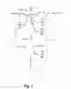 Fig. 02 - Garment With Flaps That Fold Away and Secure Below the Neckline