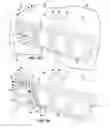 Fig. 02 - Positionable zero-footprint self-cleaning urinal and very low water-usage mist-dispensing means