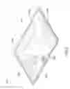 Fig. 03 - REVERSIBLE LOW PROFILE SHOWER BASE