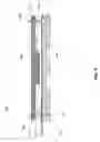 Fig. 09 - Support apparatus, system and method