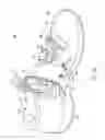 Fig. 02 - Footwear with internal harness