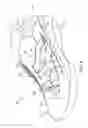 Fig. 09 - Footwear with internal harness