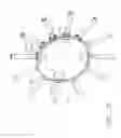 Fig. 11 - Pitch change apparatus for counter-rotating propellers