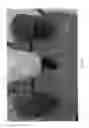 Fig. 35 - Mobile hydro geothermal testing systems and methods