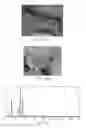 Fig. 10 - Methods of characterizing aluminum oxides