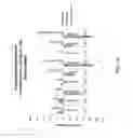 Fig. 16 - POSITIVE DISPLACEMENT MACHINE PISTON WITH WAVY SURFACE FORM