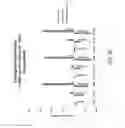 Fig. 25 - POSITIVE DISPLACEMENT MACHINE PISTON WITH WAVY SURFACE FORM