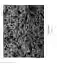 Fig. 02 - Sintered porous material comprising particles of different average sizes