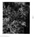 Fig. 03 - Sintered porous material comprising particles of different average sizes