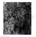 Fig. 04 - Sintered porous material comprising particles of different average sizes