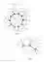 Fig. 06 - Projectile having casing that includes multiple flachettes