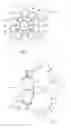 Fig. 09 - Projectile having casing that includes multiple flachettes