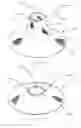 Fig. 04 - Nyjer or thistle seed bird feeder