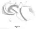 Fig. 02 - Edible pet chew and preparation of same
