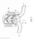 Fig. 02 - Reversible flow valve assembly