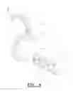 Fig. 09 - Vane inlet device