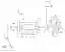 Fig. 01 - Apparatus and methods for treating allograft products