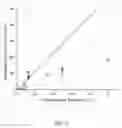 Fig. 03 - Thin film composite membranes and their method of preparation and use