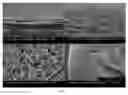 Fig. 09 - Thin film composite membranes and their method of preparation and use