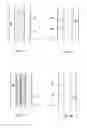 Fig. 05 - SUBTERRANEAN CONTINUOUS LOOP HEAT EXCHANGER, METHOD OF MANUFACTURE AND METHOD TO HEAT, COOL OR STORE ENERGY WITH SAME