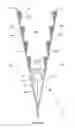 Fig. 07 - HEAT EXCHANGERS FOR AIR CONDITIONING SYSTEMS