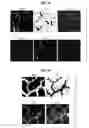 Fig. 07 - Degradable compositions, apparatus comprising same, and methods of use
