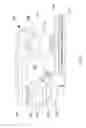 Fig. 09 - Dust extraction for power tools