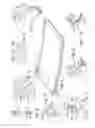 Fig. 03 - Resilient Jewel Case