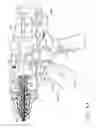 Fig. 49 - Selectively orientable implantable fastener cartridge