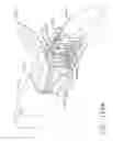 Fig. 83 - Selectively orientable implantable fastener cartridge