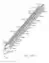Fig. 99 - Fastener system comprising a plurality of fastener cartridges