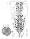 Fig. 44 - Fastener system comprising a retention matrix and a cover