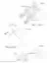Fig. 131 - Tissue thickness compensator comprising detachable portions