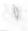 Fig. 03 - Aircraft engine attachment pylon comprising two front wing system attachments with orthogonal shearing pins