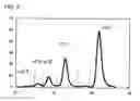 Fig. 06 - Resin composition for encapsulating semiconductor and semiconductor device