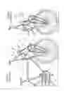 Fig. 02 - Bicycle