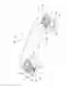 Fig. 02 - Assist grip